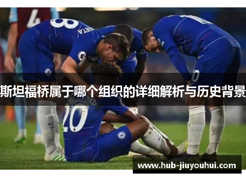 斯坦福桥属于哪个组织的详细解析与历史背景