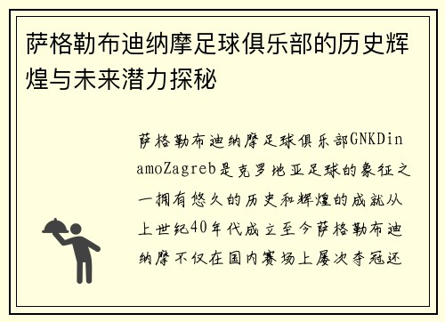 萨格勒布迪纳摩足球俱乐部的历史辉煌与未来潜力探秘
